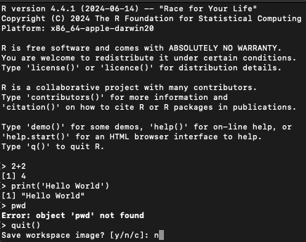 Hello World in R